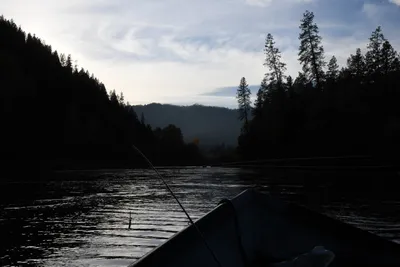 DSC_0295 (Large).JPG